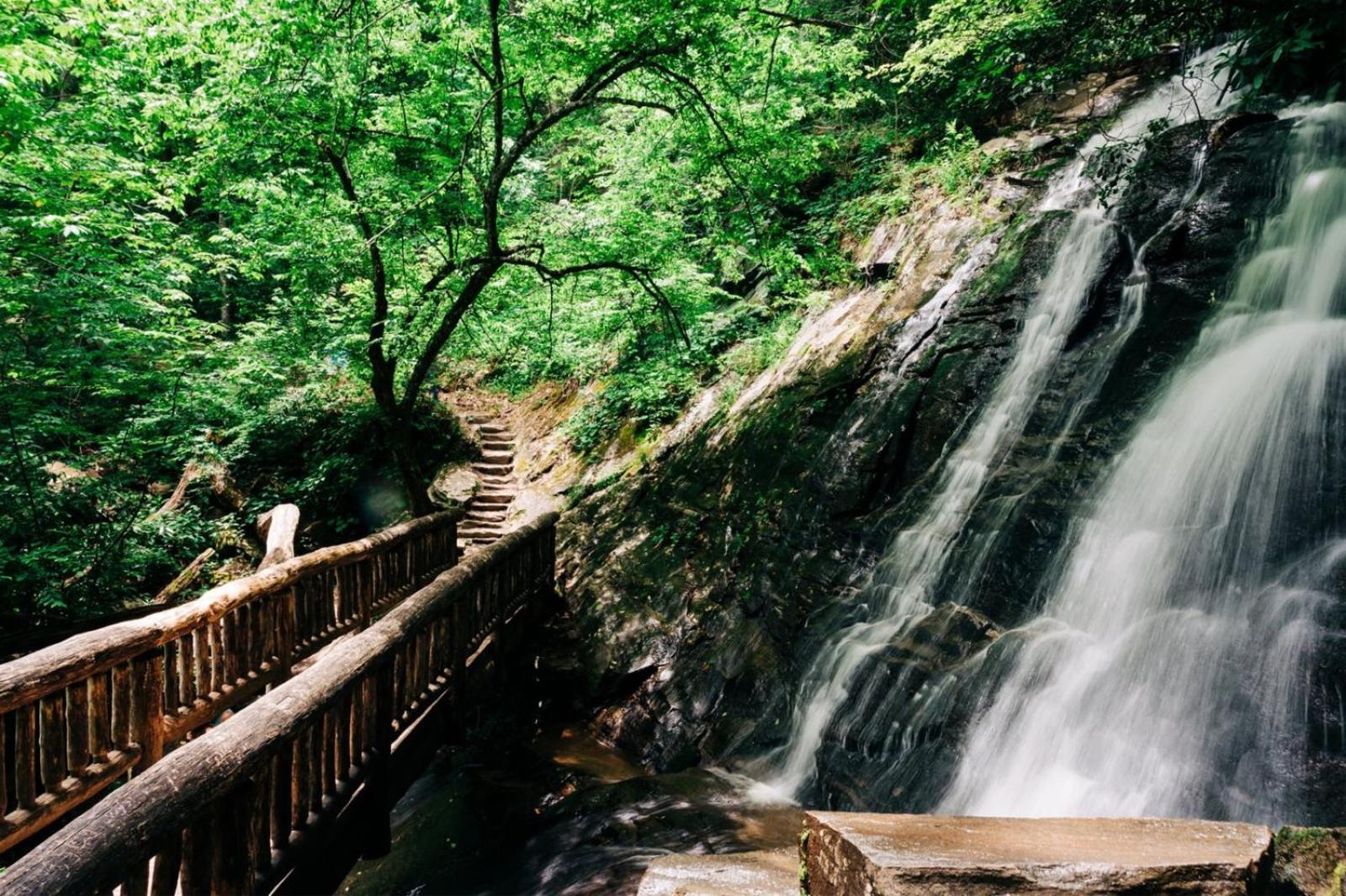 Hidden Star Hideaway-Blackberry Farm-Smoky Mtn Nat Park-Hot Tub- Fire Pit- Fenced Yard- Pet Friendly Walland Bagian luar foto